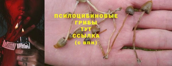 крисы Киреевск